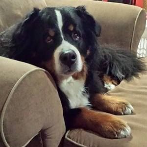 Meet your Posher, Janet